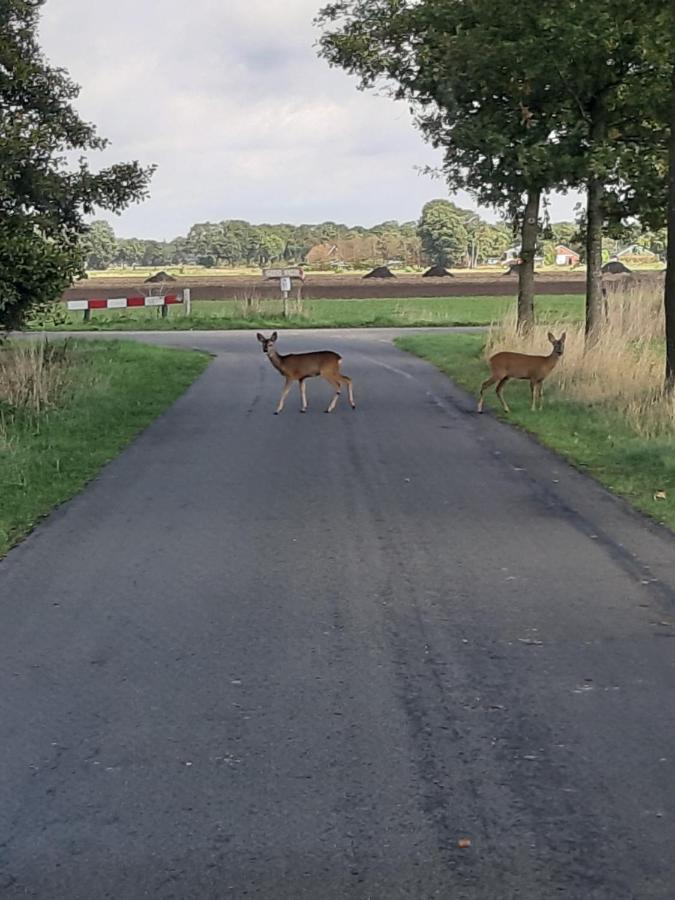 Het Tuffel Huuske Panzió Haaksbergen Kültér fotó